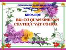 Bài 51. Cơ quan sinh sản của thực vật có hoa